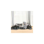 Super Soft and Premium Fuzzy Flannel Fleece Pet Dog Blanket, The Cute Print Design Washable Fluffy Blanket for Puppy Cat Kitten Indoor Outdoor, Grey, 32 x 24 Inches